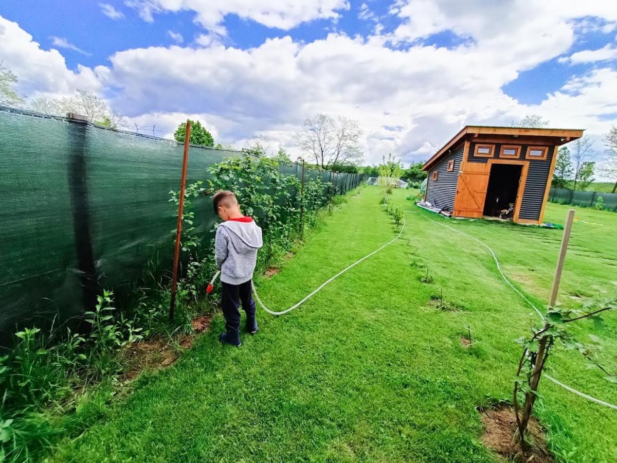 Hotel Tiny House - Baia De Fier Exteriér fotografie